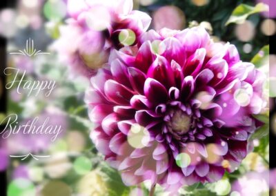 Happy Birthday Dahlia