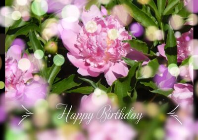 Happy Birthday Peony