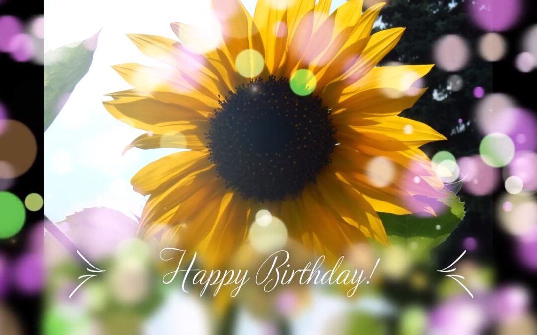 Happy Birthday Sunflower