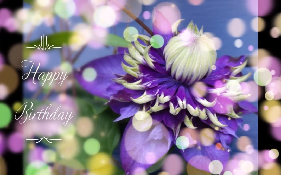 Happy Birthday Clematis