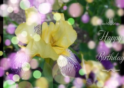 Happy Birthday Iris