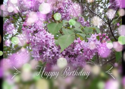 Happy Birthday Lilac