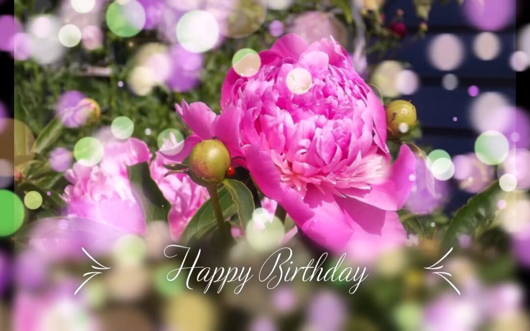 Happy Birthday Peony 2