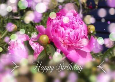Happy Birthday Peony 2