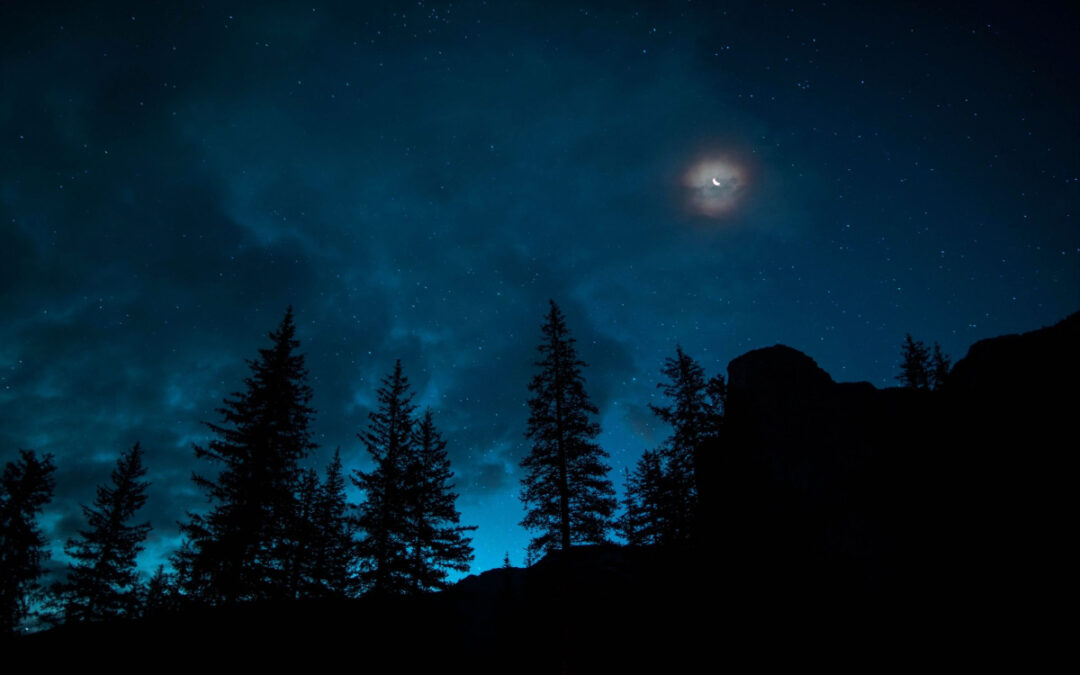Silent Night