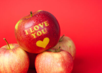 Don’t Sit Under the Apple Tree