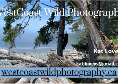 WestCoast Wild Photography Business Card