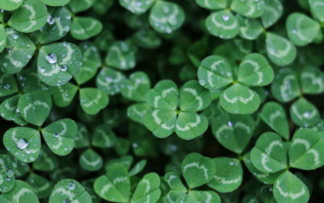 St. Patrick’s Day ecard (The Wearing of the Green)